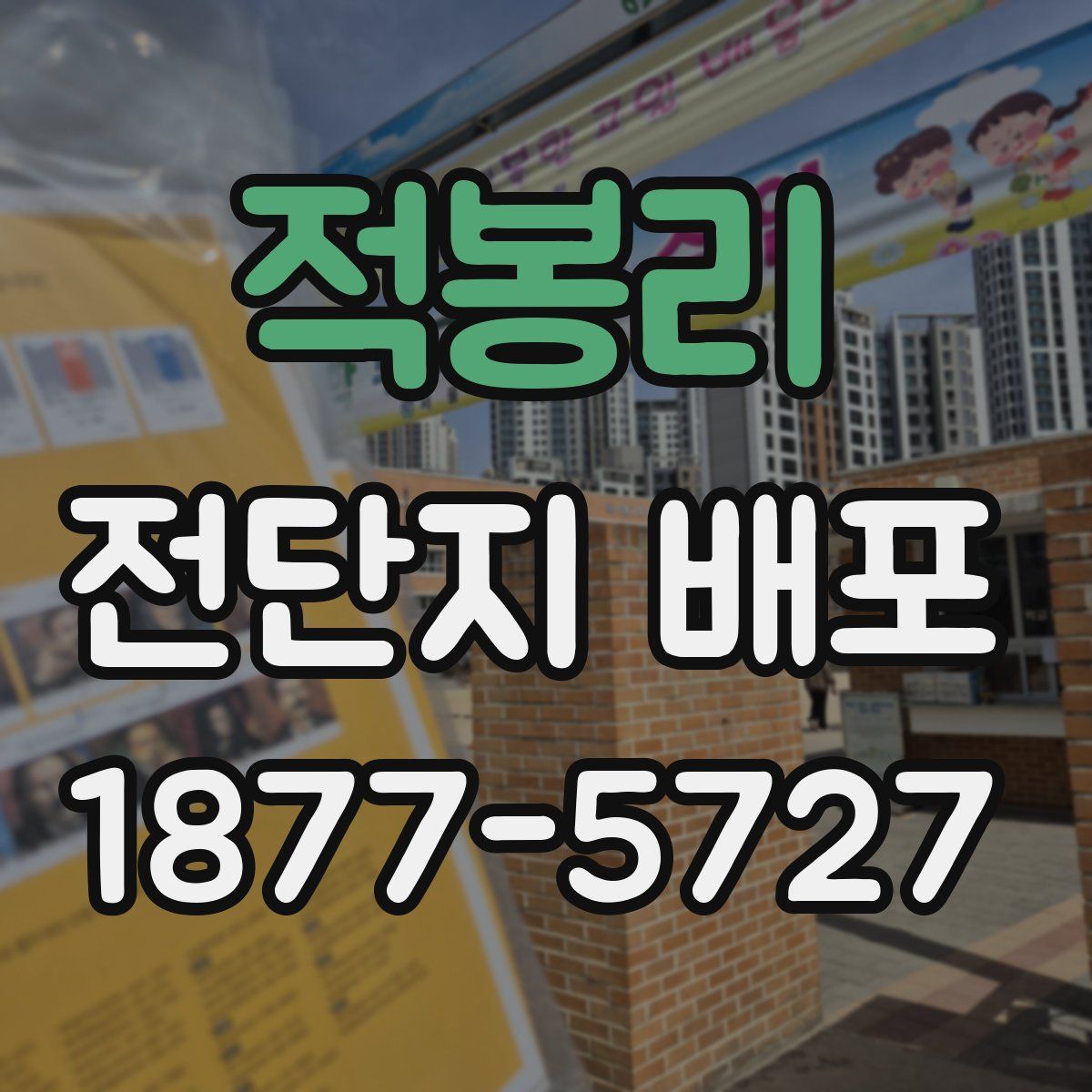 적봉리 전단지 배포