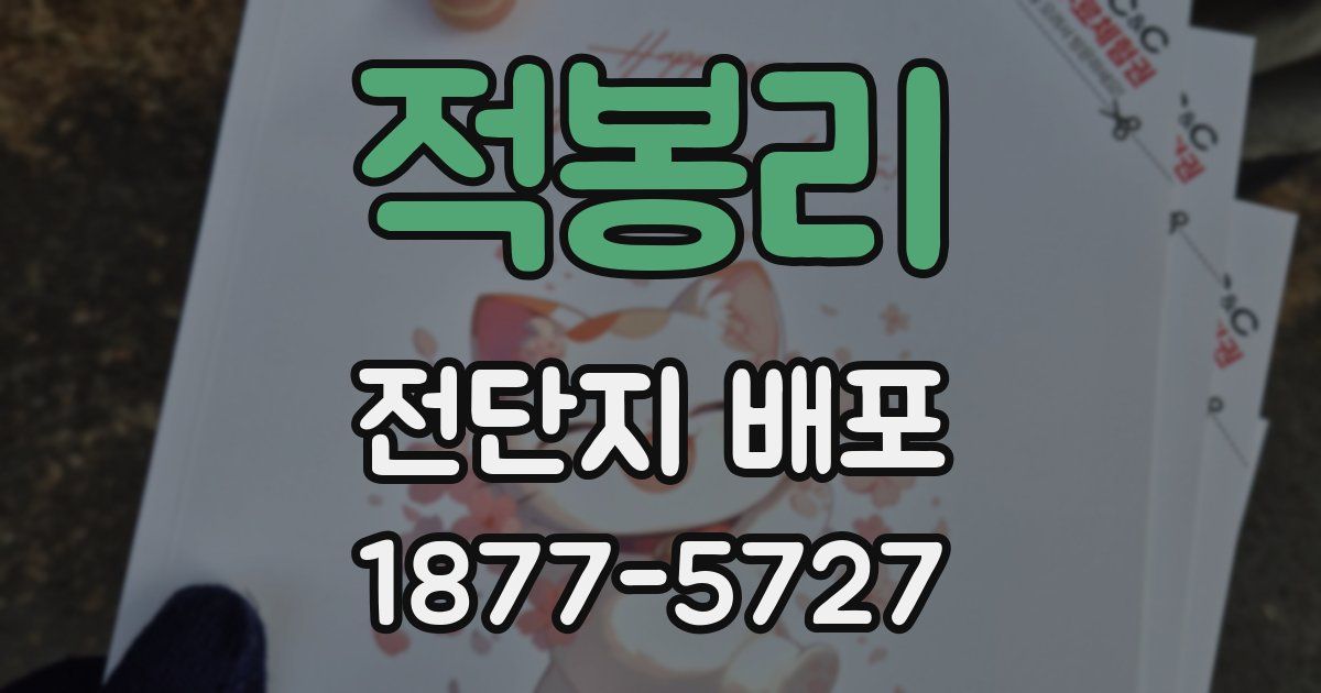 적봉리 전단지 배포
