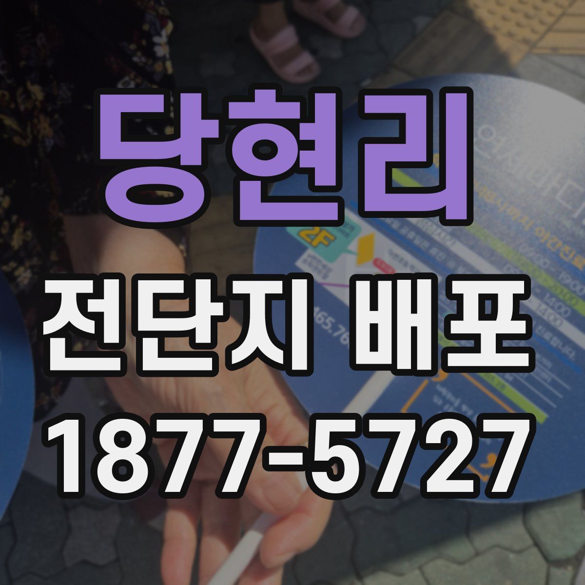 당현리 전단지 배포