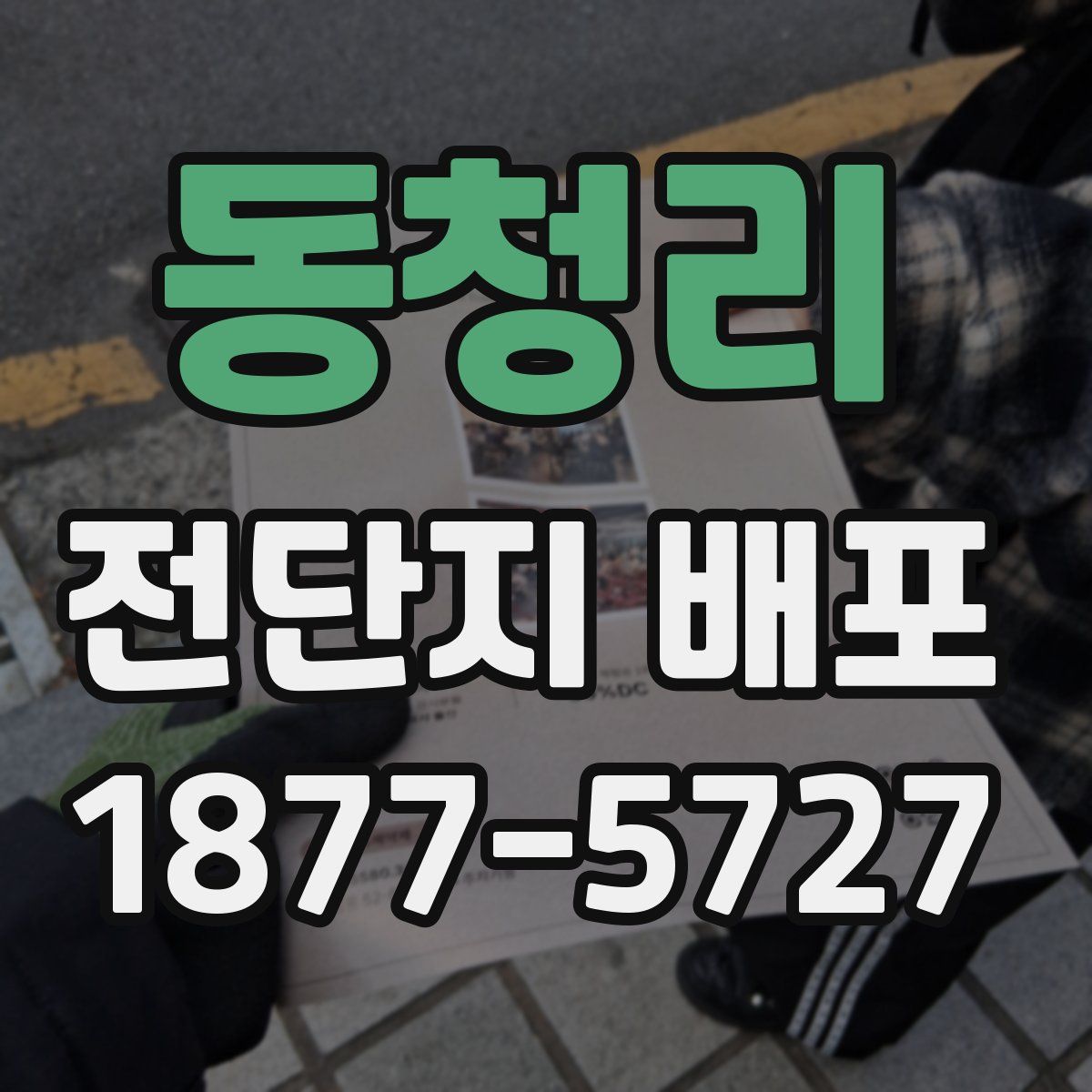 동청리 전단지 배포