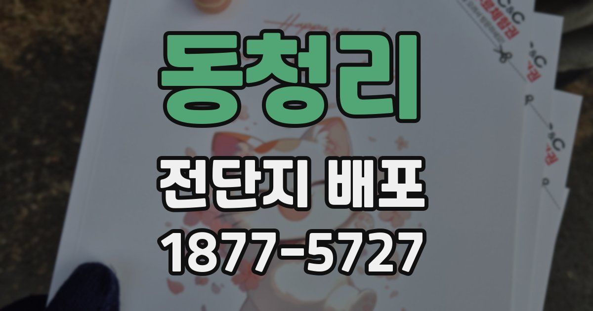 동청리 전단지 배포