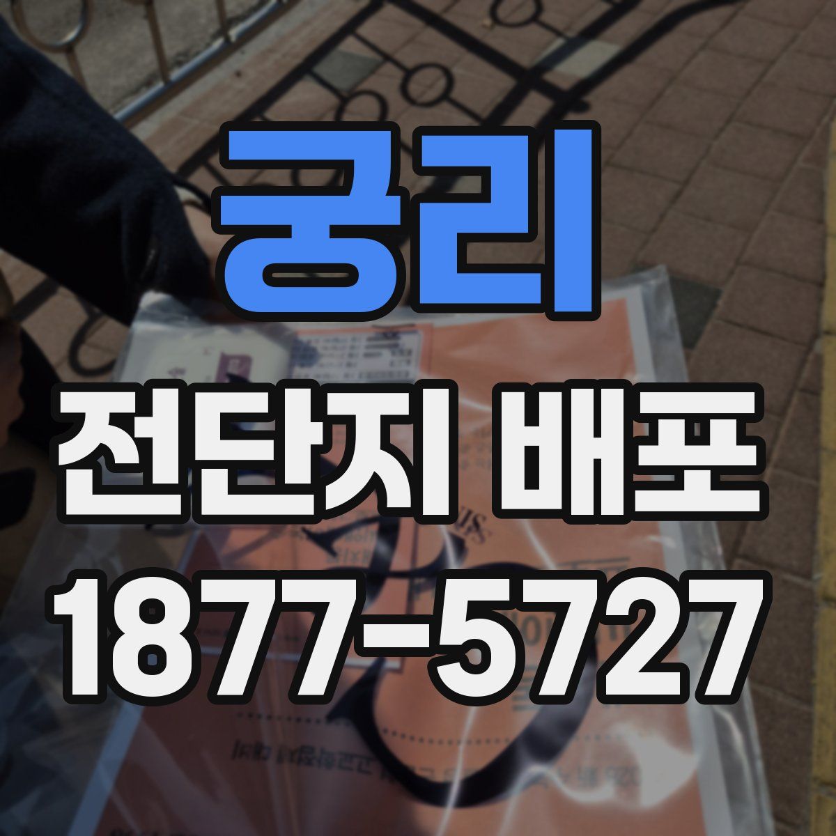 궁리 전단지 배포