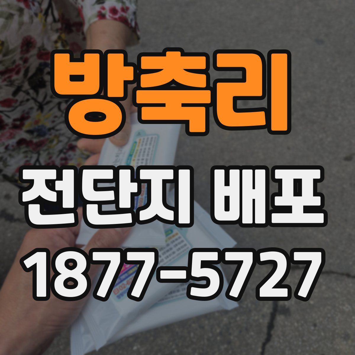 방축리 전단지 배포