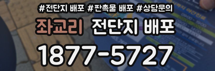 좌교리 전단지 배포