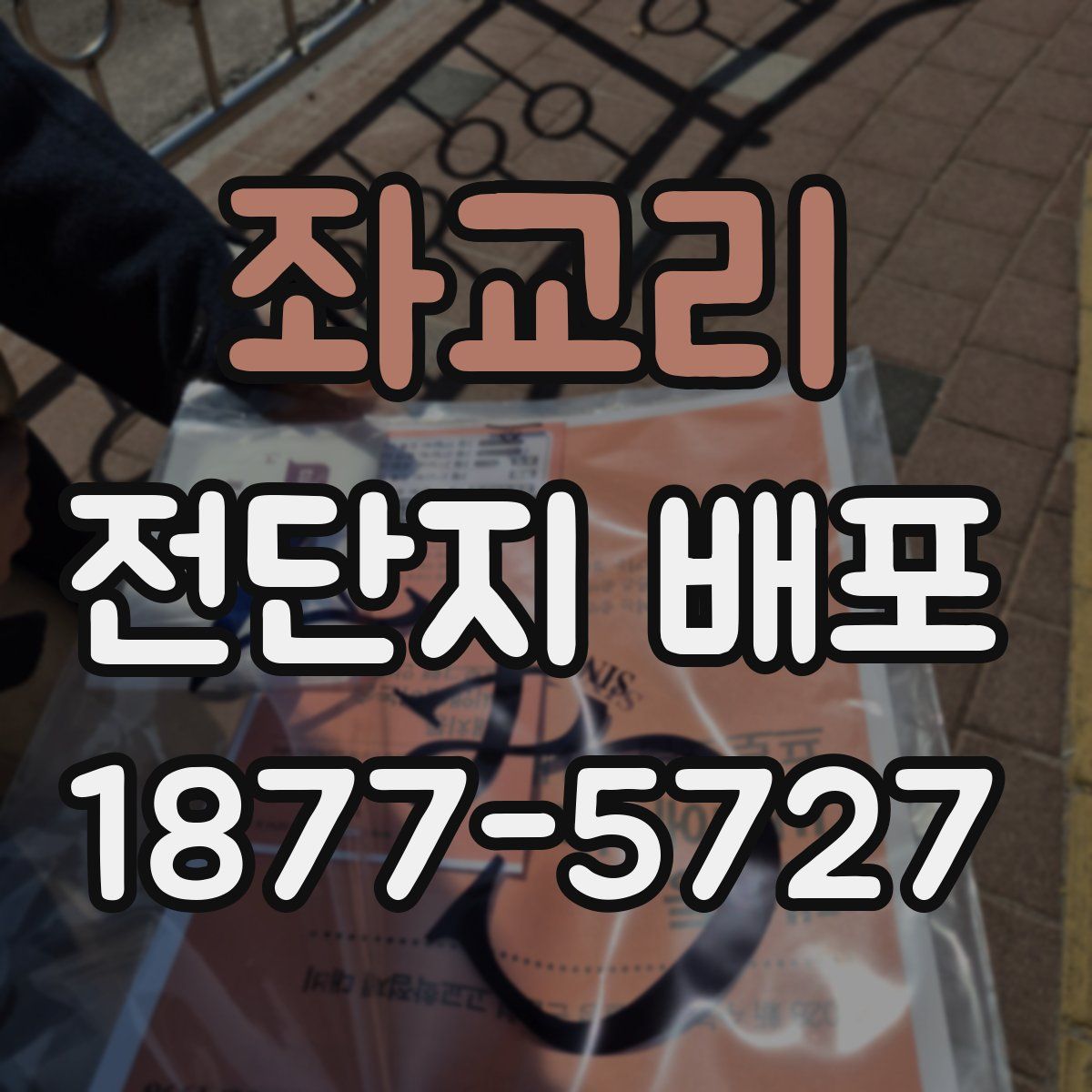 좌교리 전단지 배포