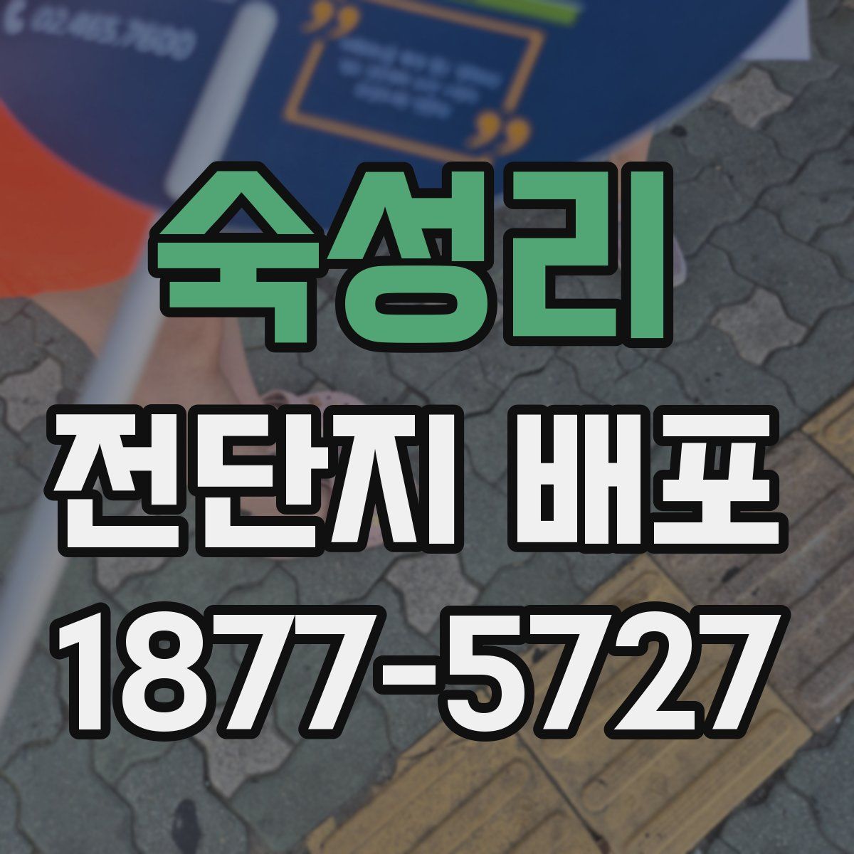 숙성리 전단지 배포