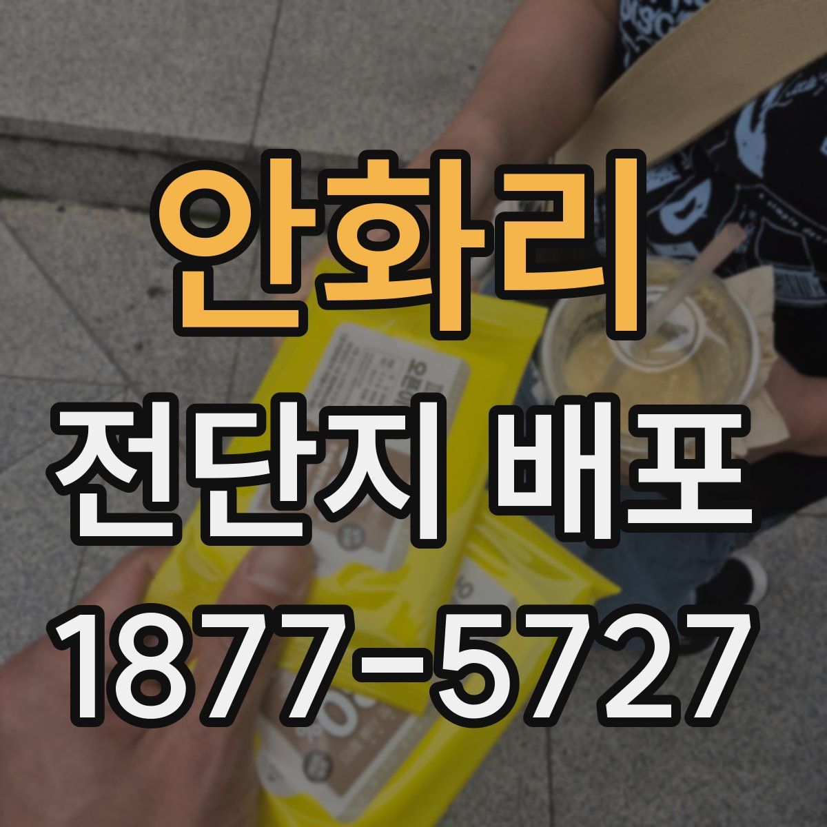 안화리 전단지 배포
