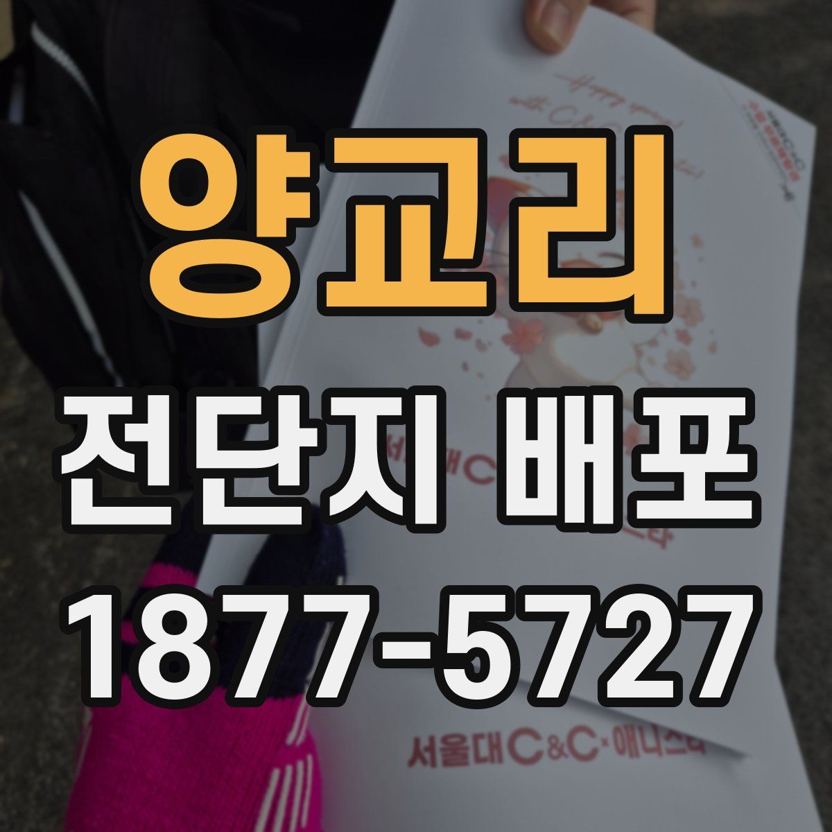양교리 전단지 배포