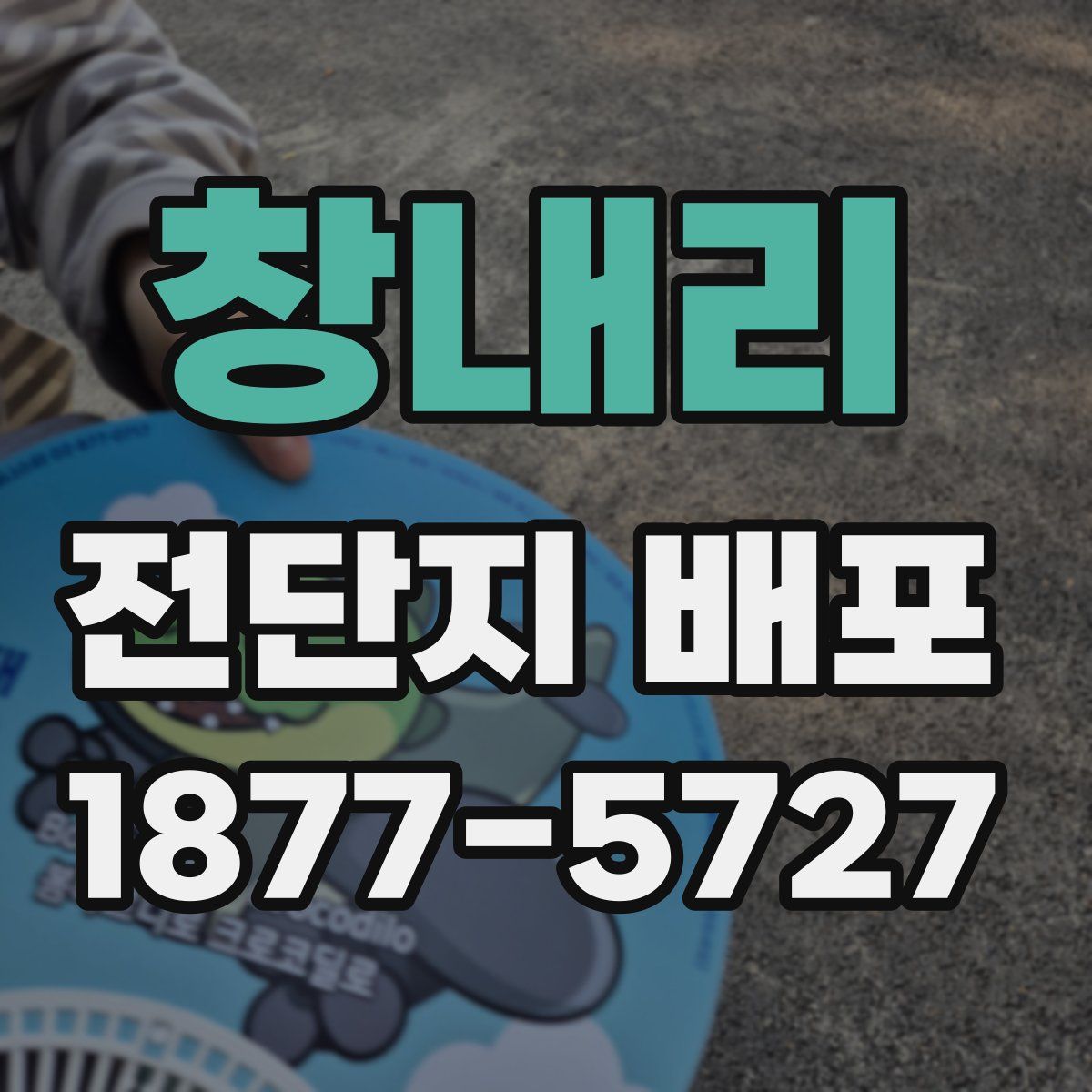 창내리 전단지 배포