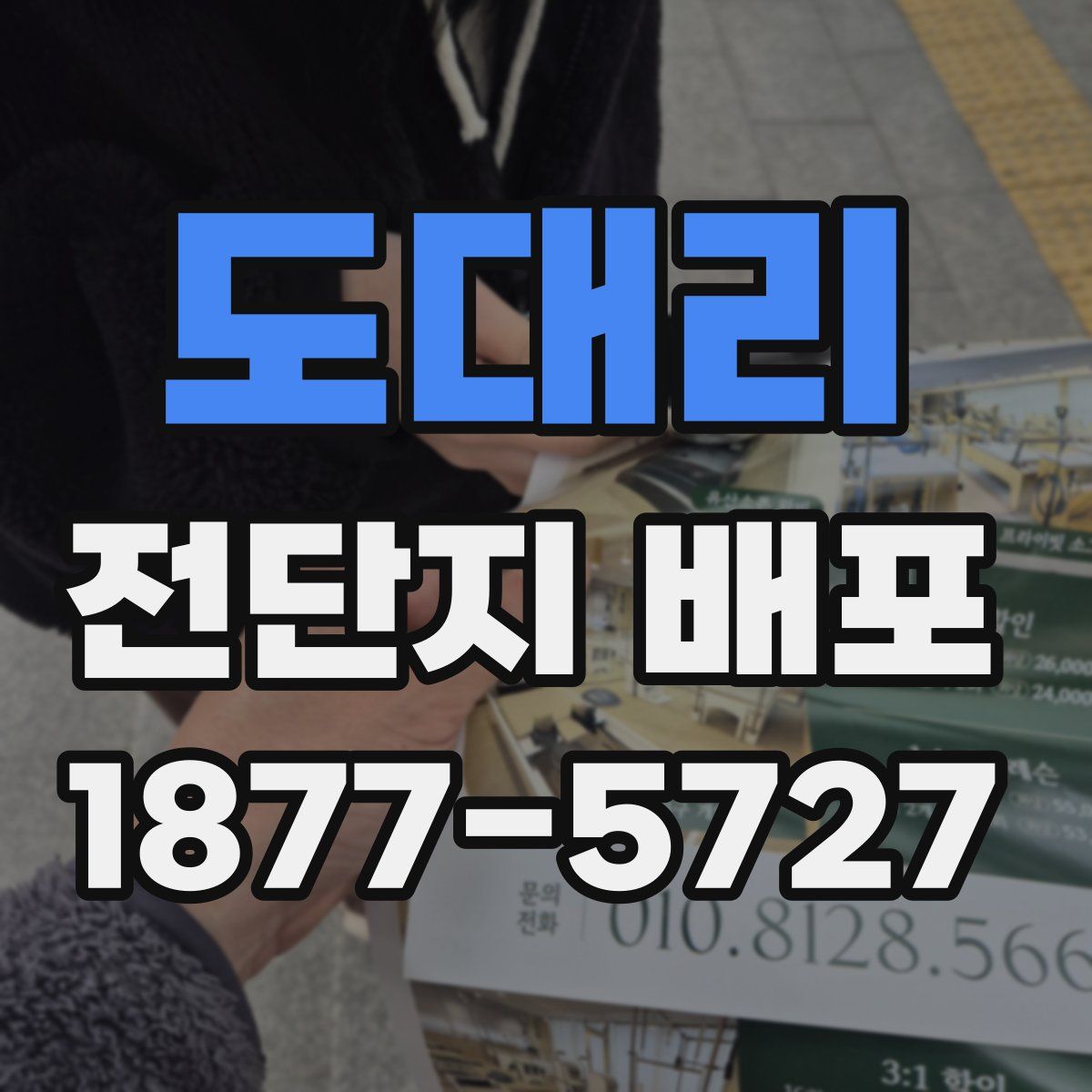 도대리 전단지 배포