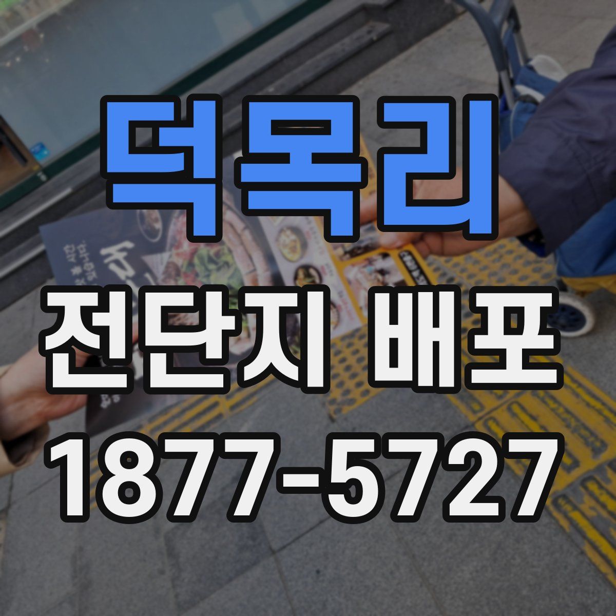 덕목리 전단지 배포