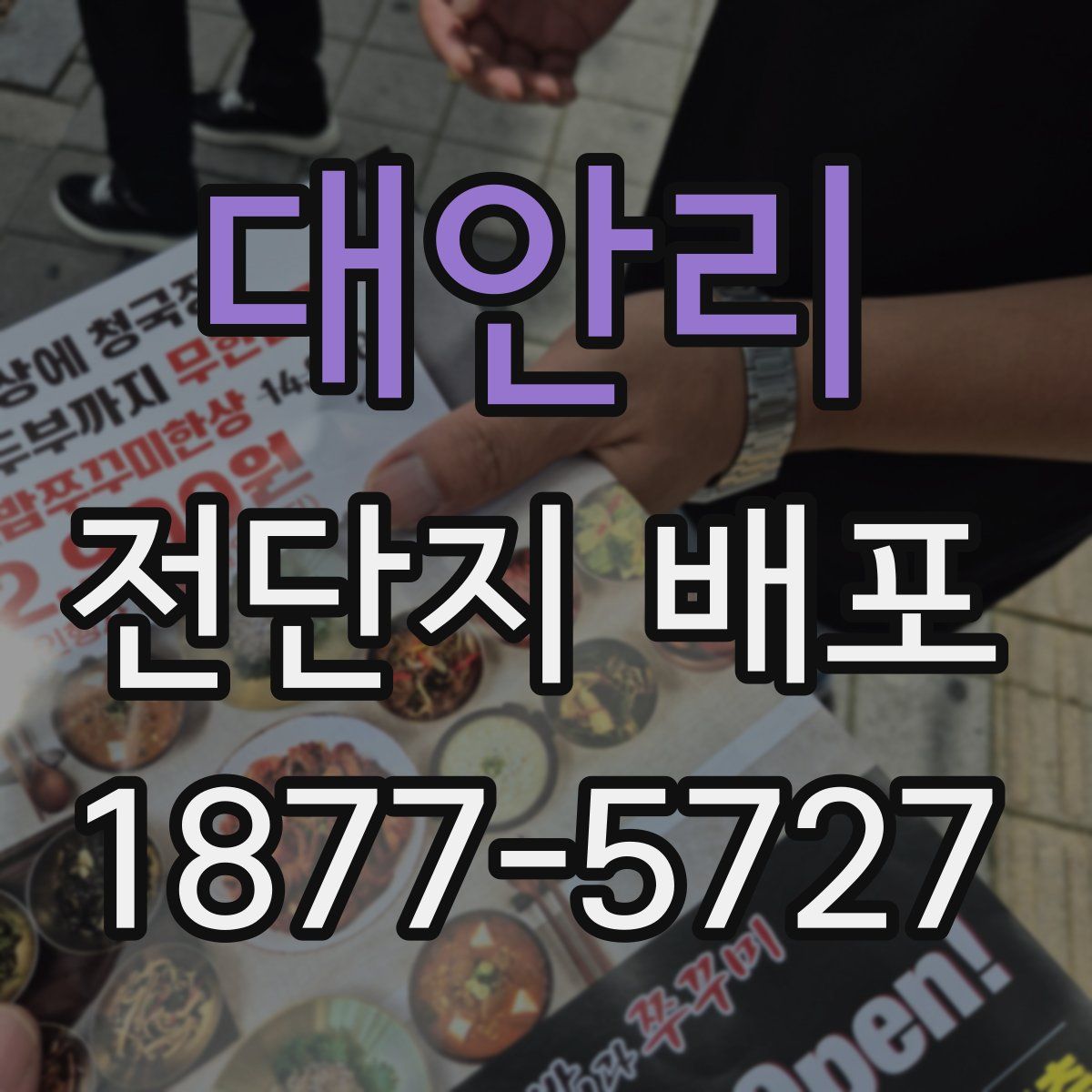 대안리 전단지 배포