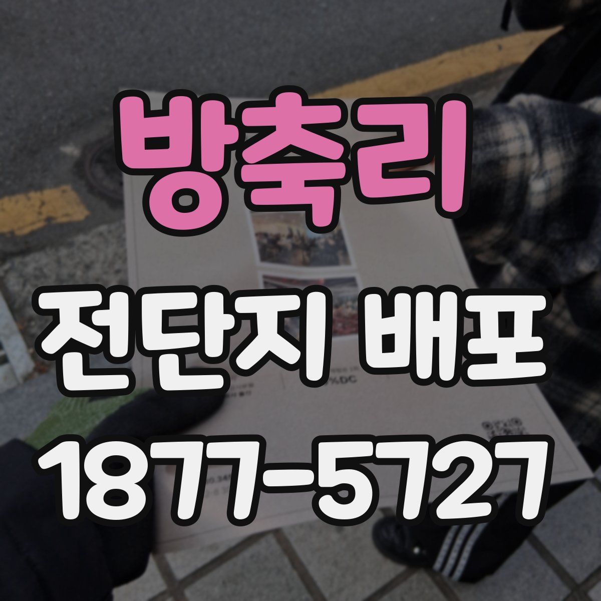 방축리 전단지 배포