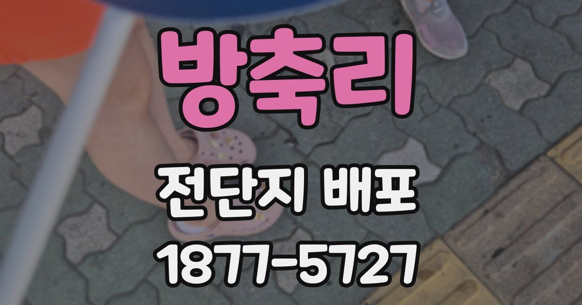 방축리 전단지 배포