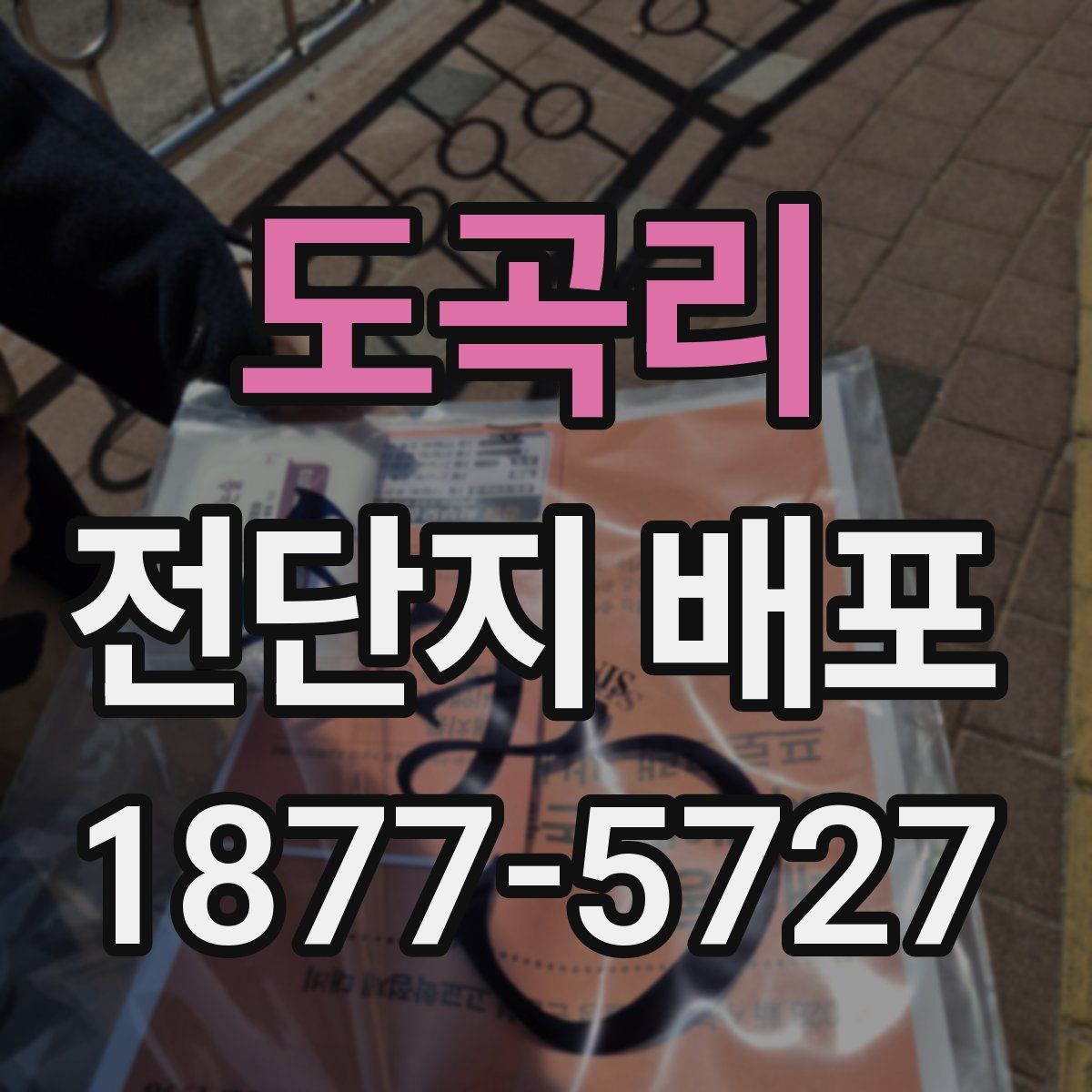 도곡리 전단지 배포