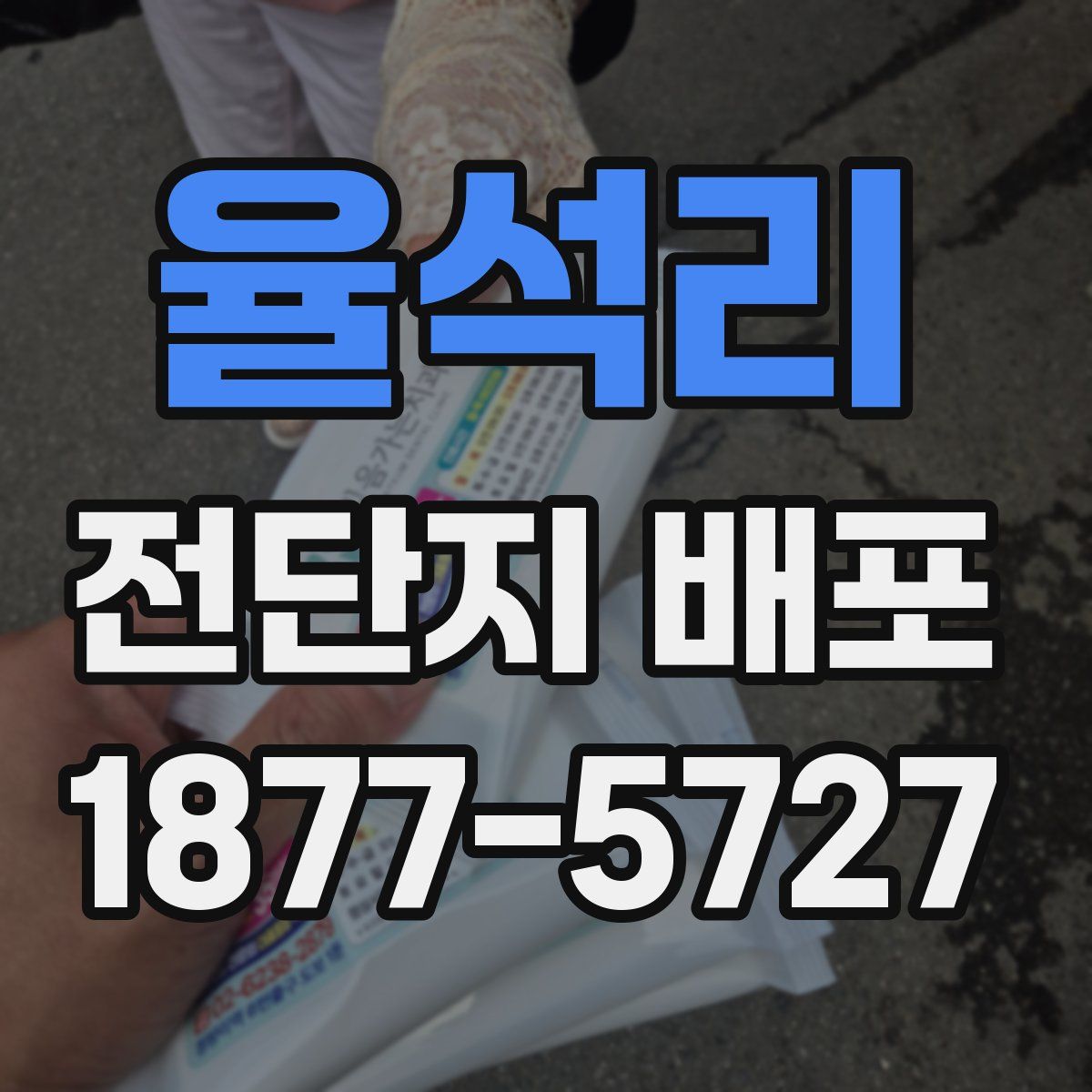 율석리 전단지 배포