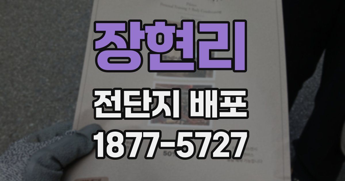 장현리 전단지 배포