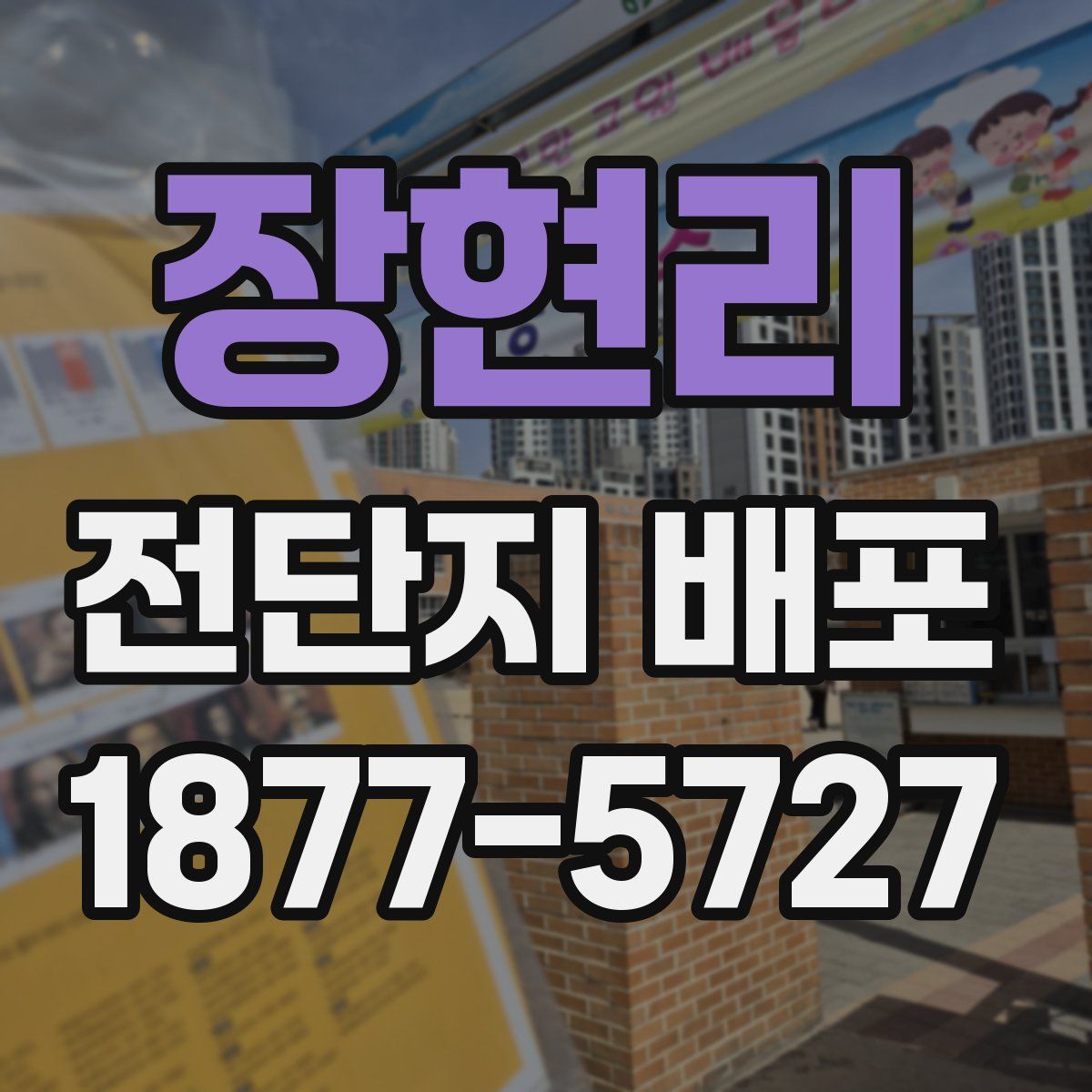 장현리 전단지 배포
