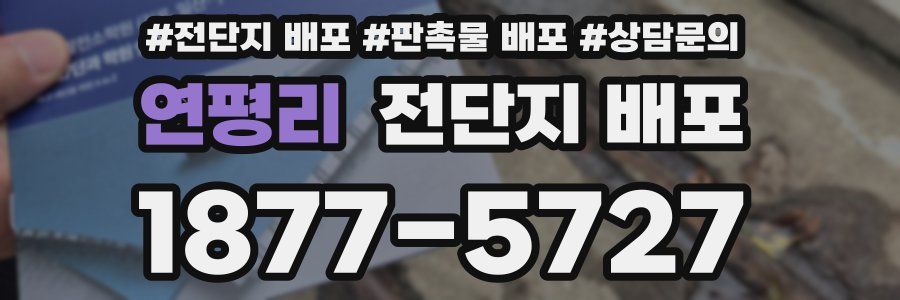 연평리 전단지 배포