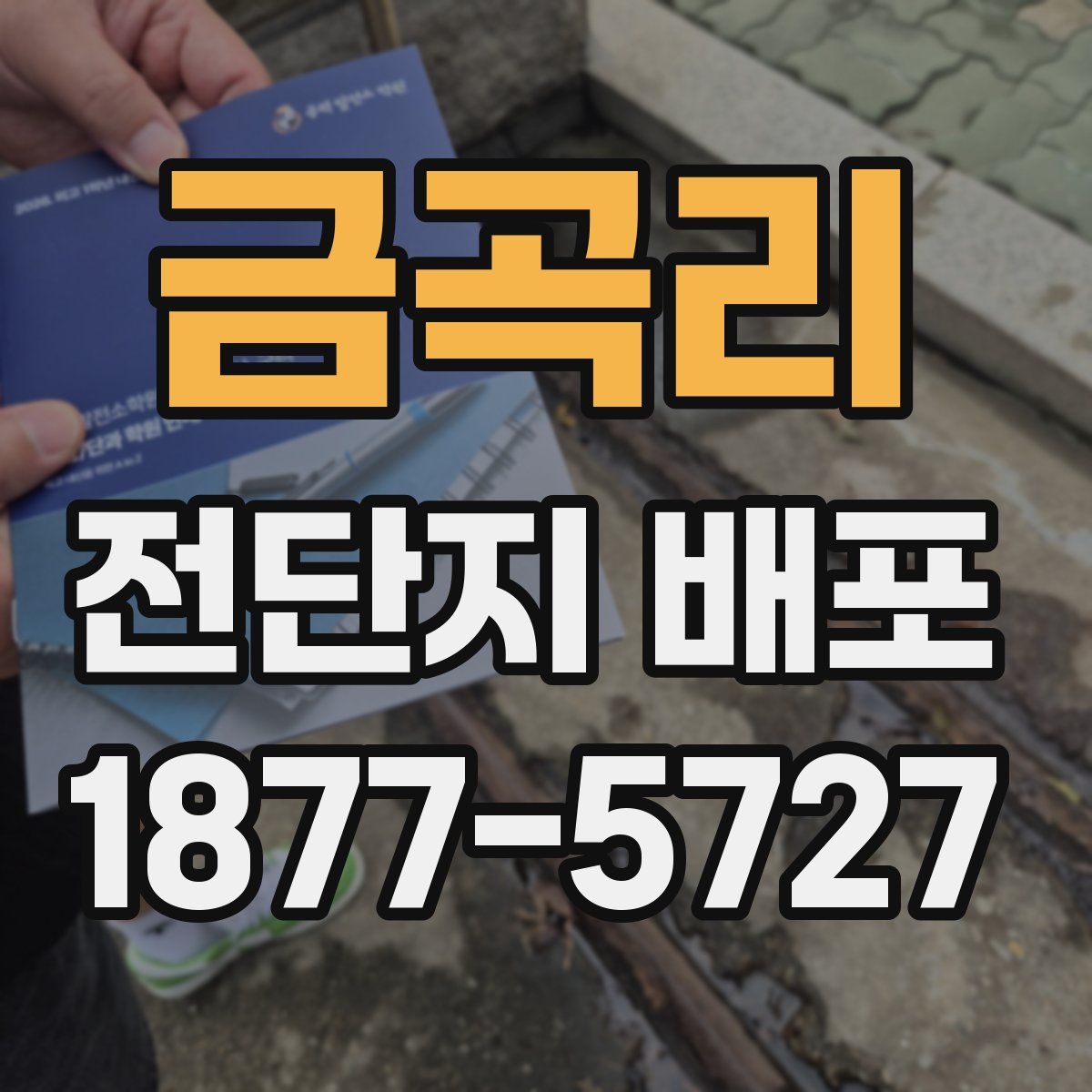 금곡리 전단지 배포