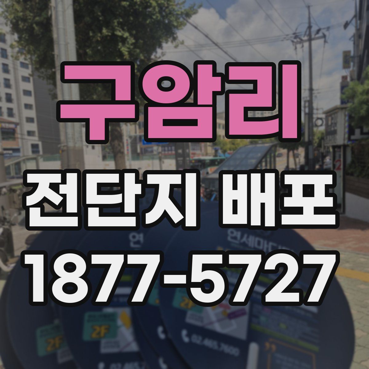 구암리 전단지 배포