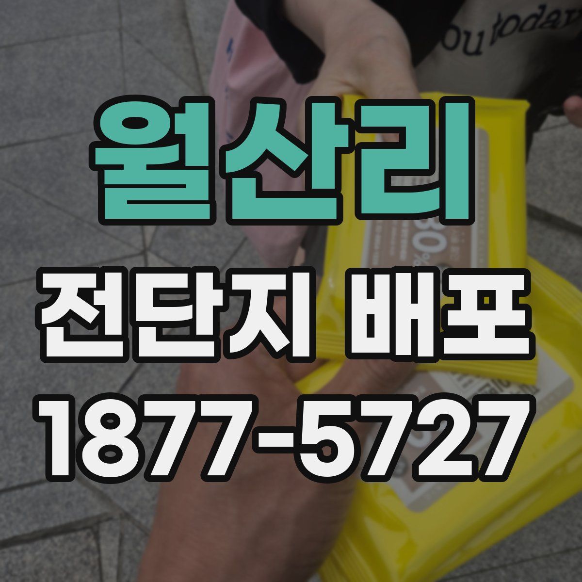 월산리 전단지 배포