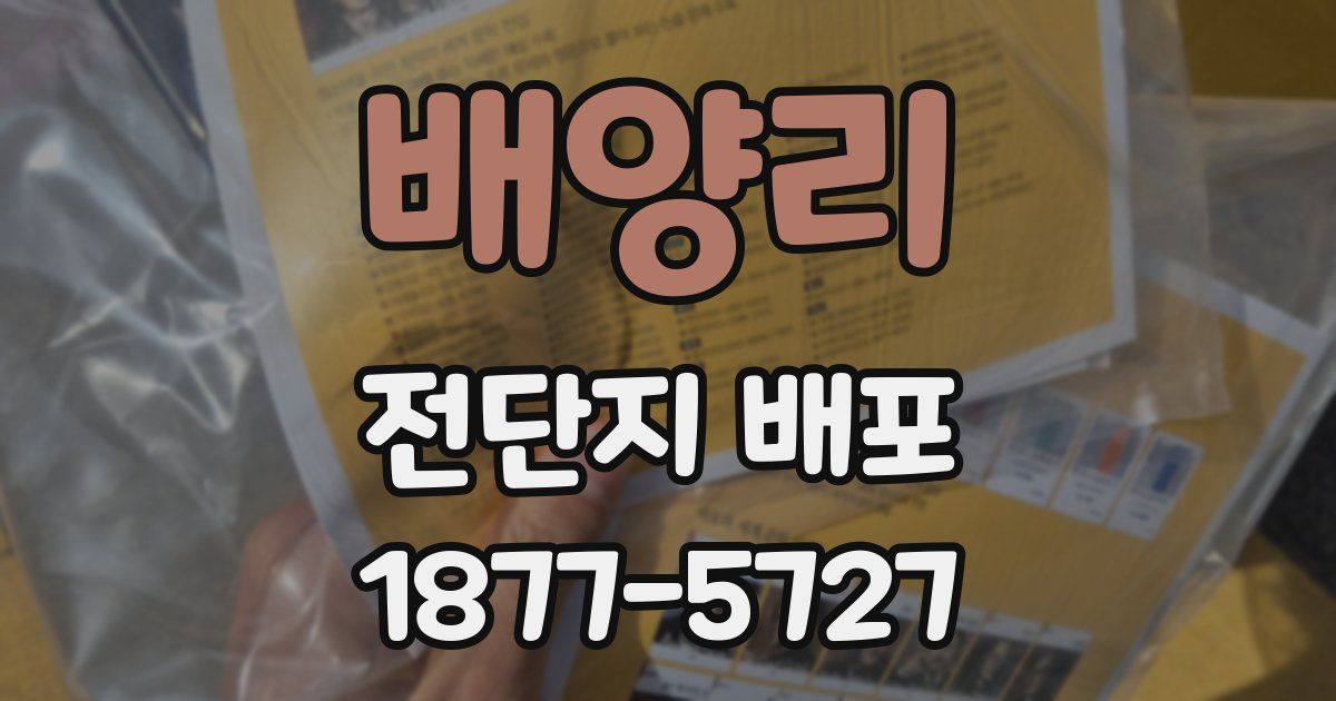 배양리 전단지 배포