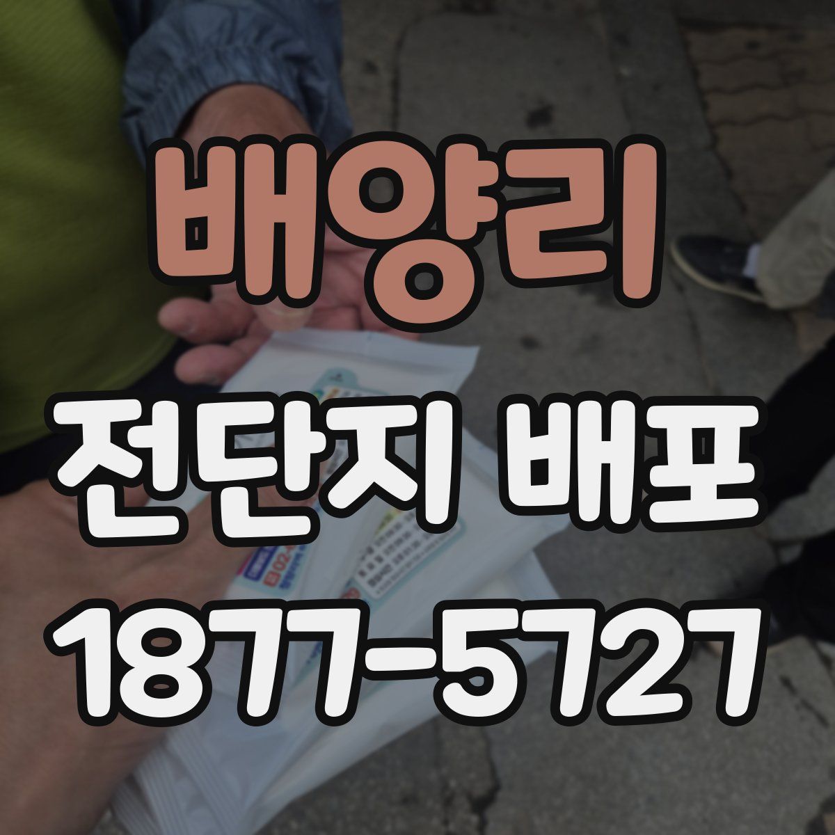 배양리 전단지 배포