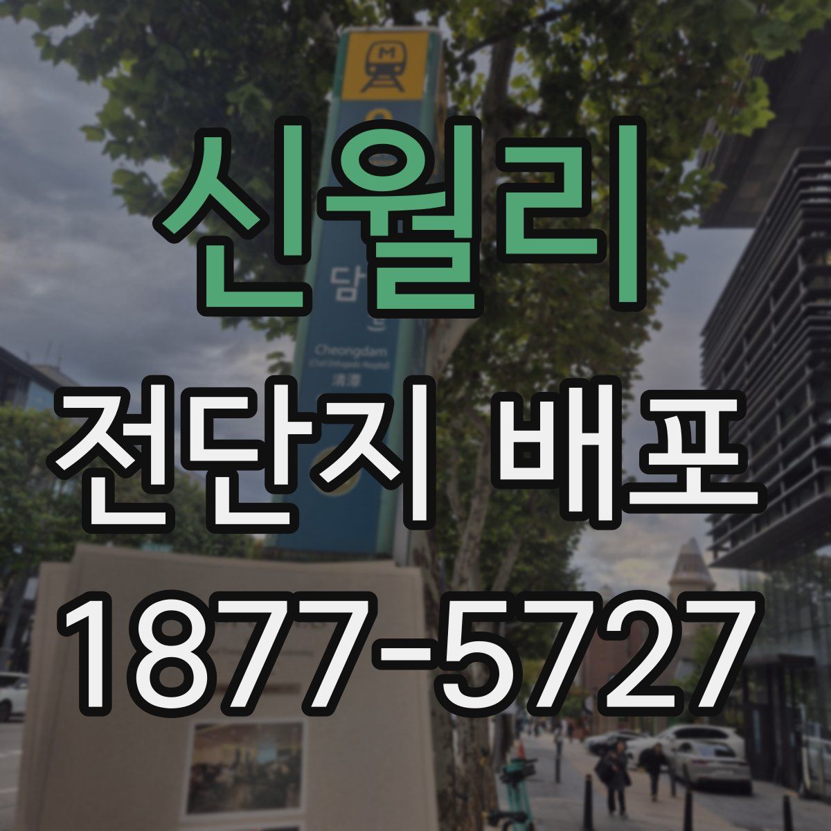 신월리 전단지 배포