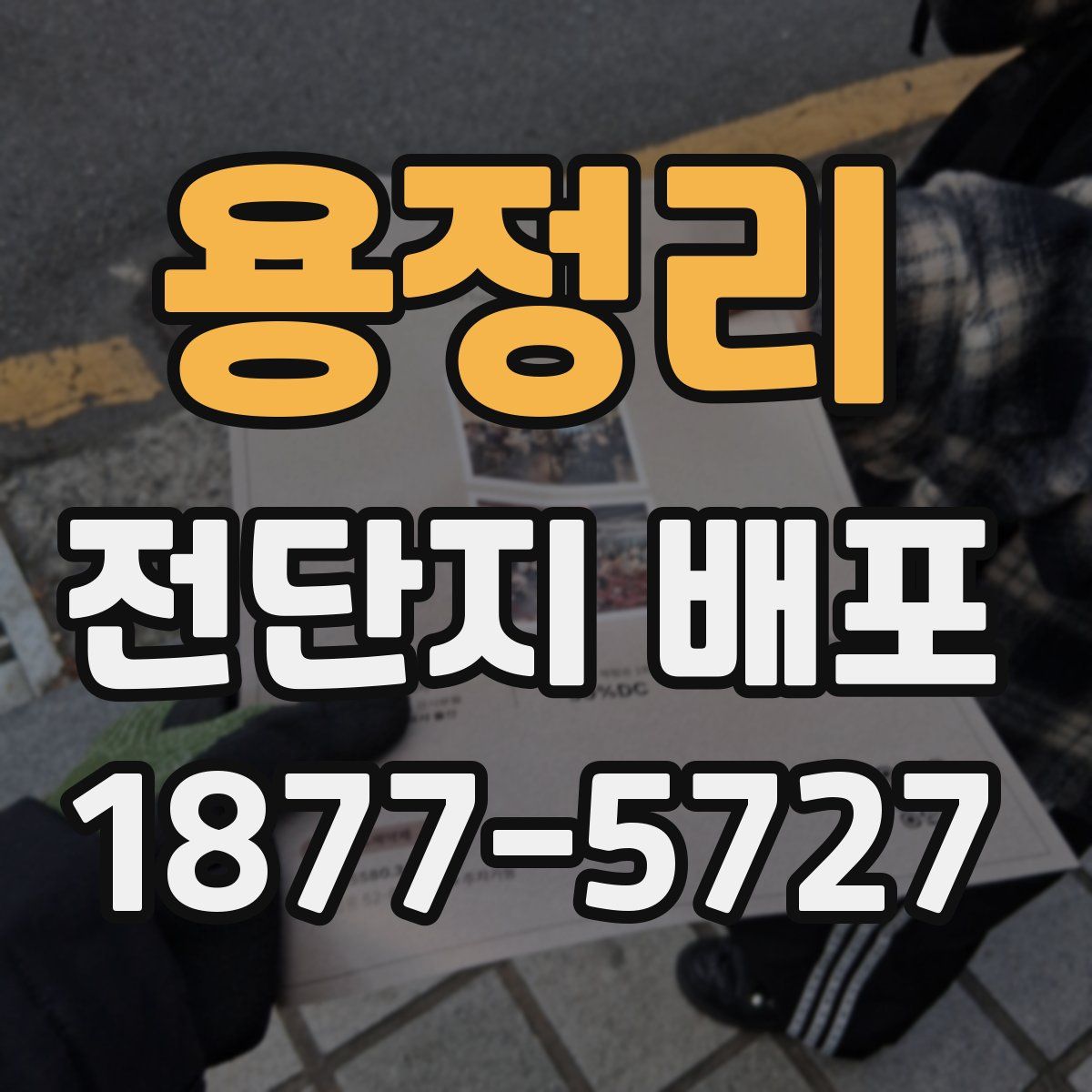 용정리 전단지 배포