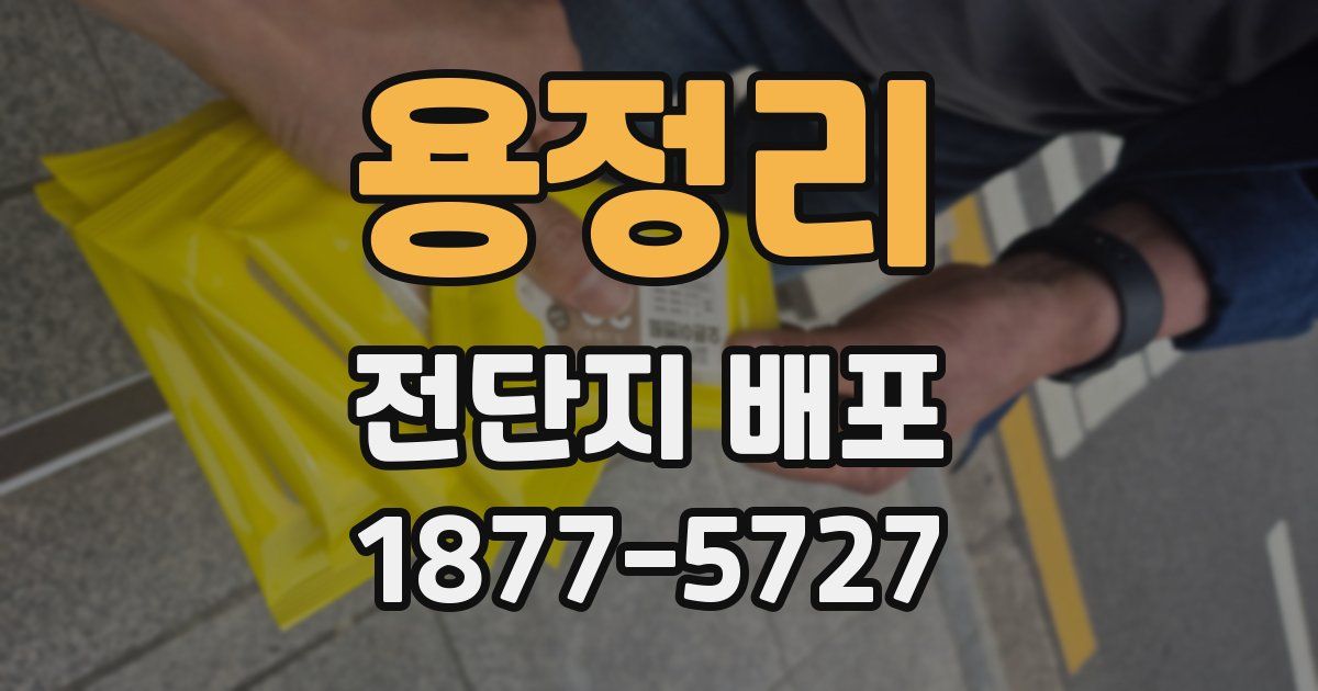 용정리 전단지 배포