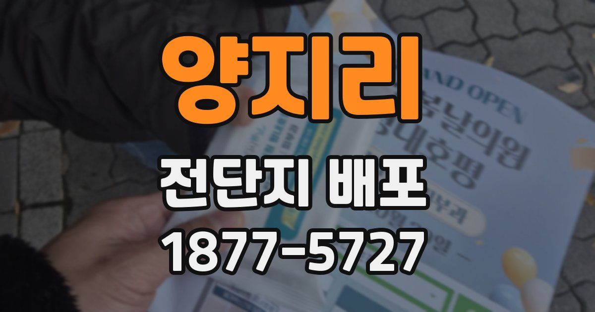 양지리 전단지 배포