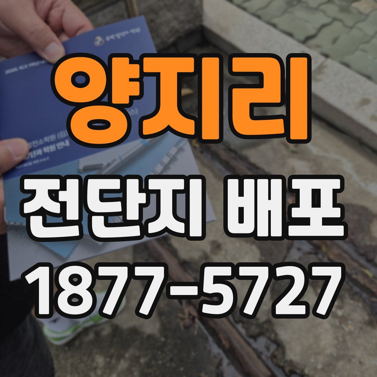 양지리 전단지 배포