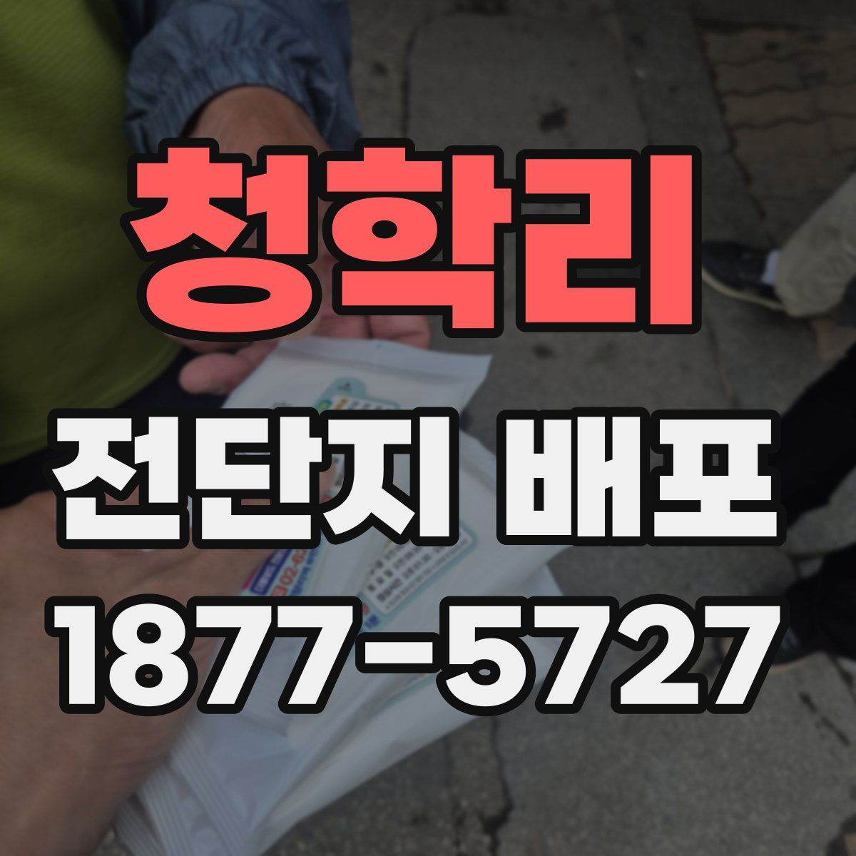 청학리 전단지 배포