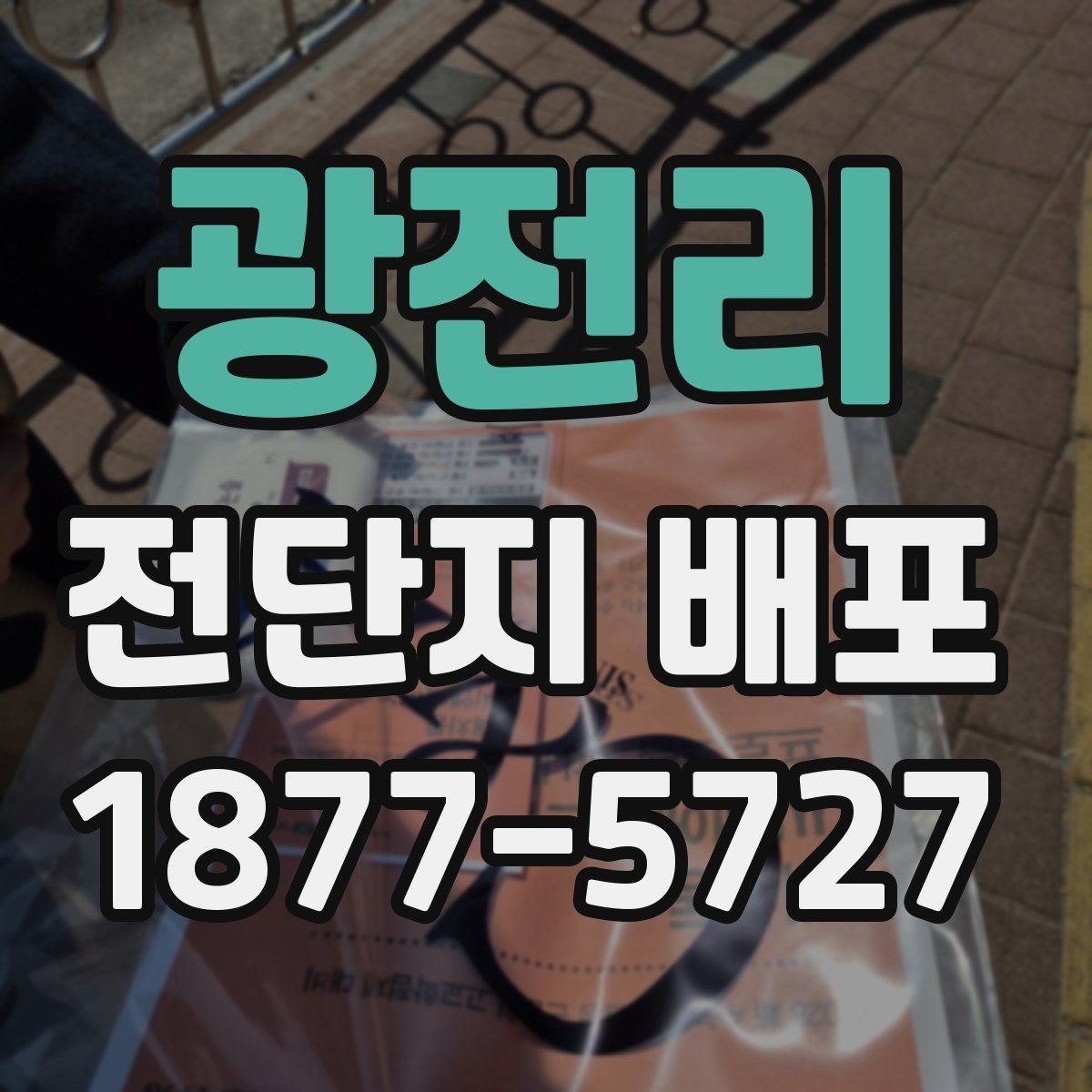 광전리 전단지 배포