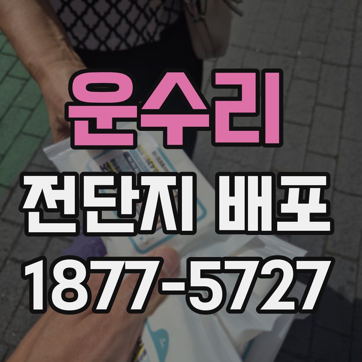 운수리 전단지 배포