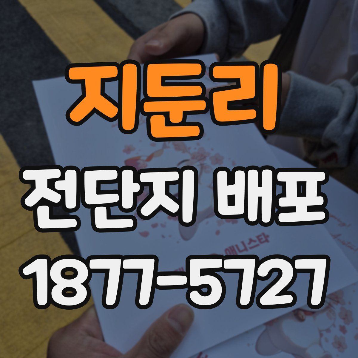 지둔리 전단지 배포