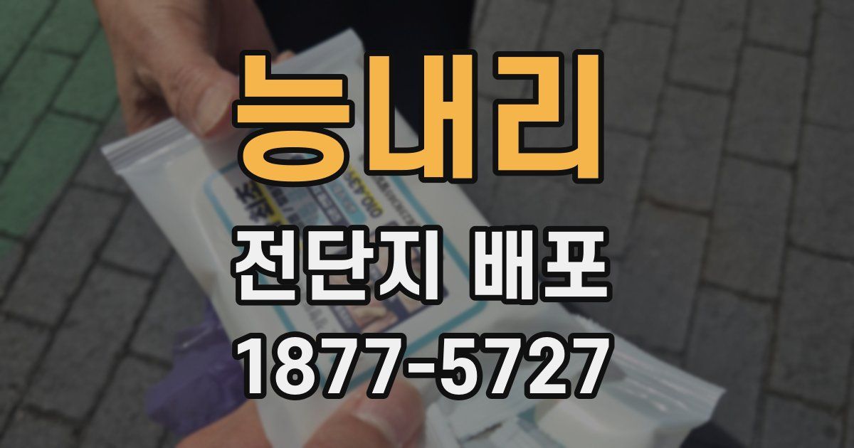 능내리 전단지 배포