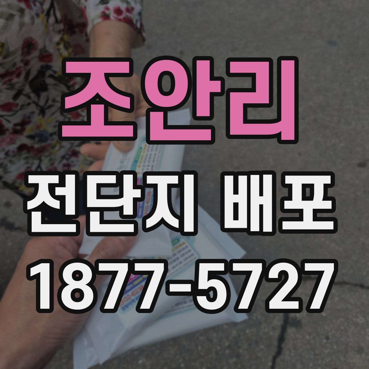 조안리 전단지 배포