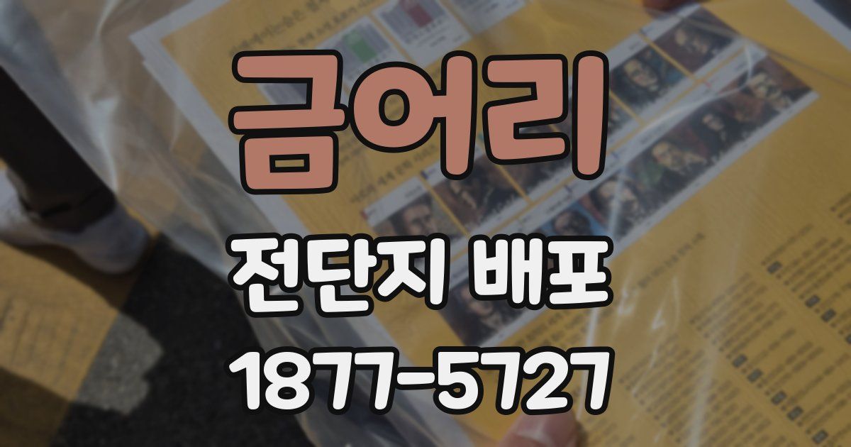 금어리 전단지 배포
