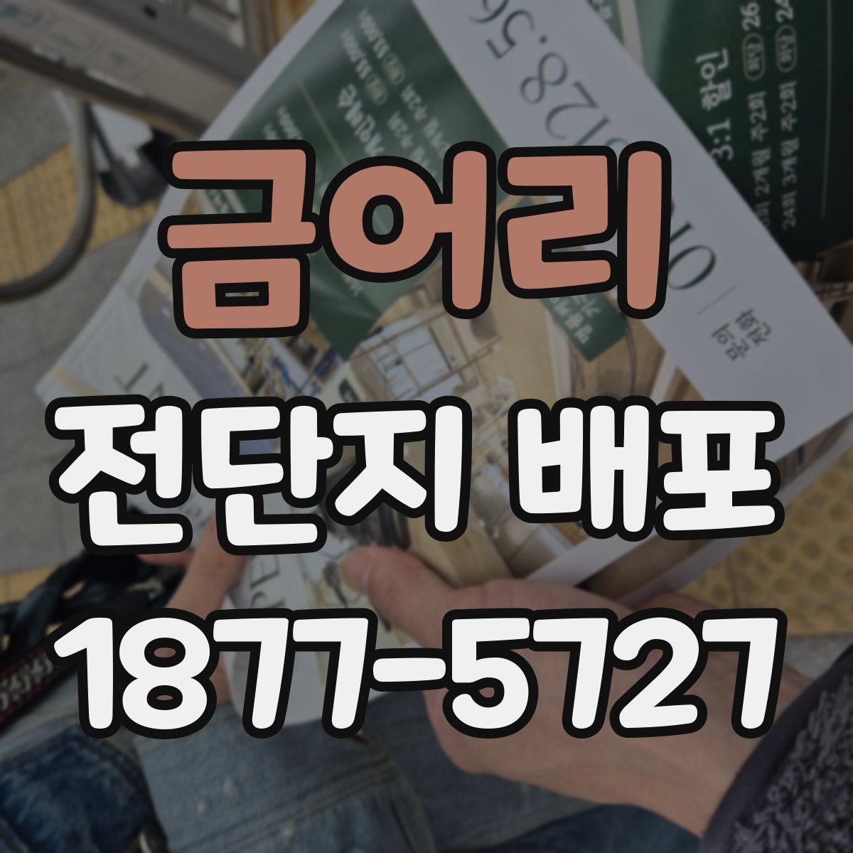 금어리 전단지 배포