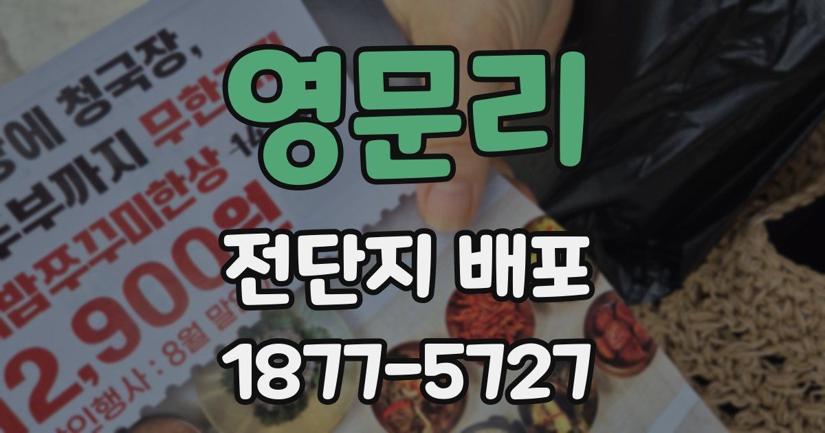영문리 전단지 배포