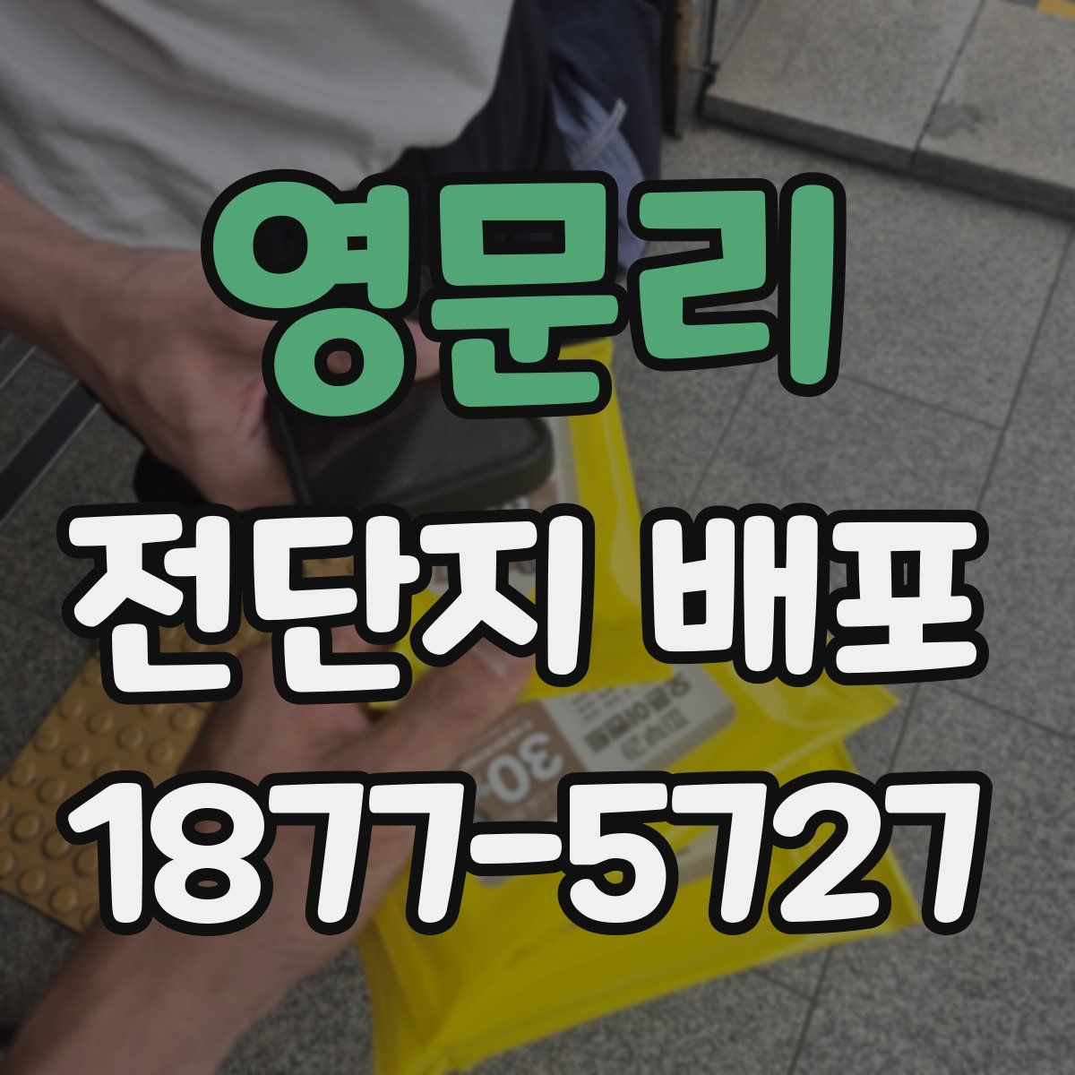 영문리 전단지 배포