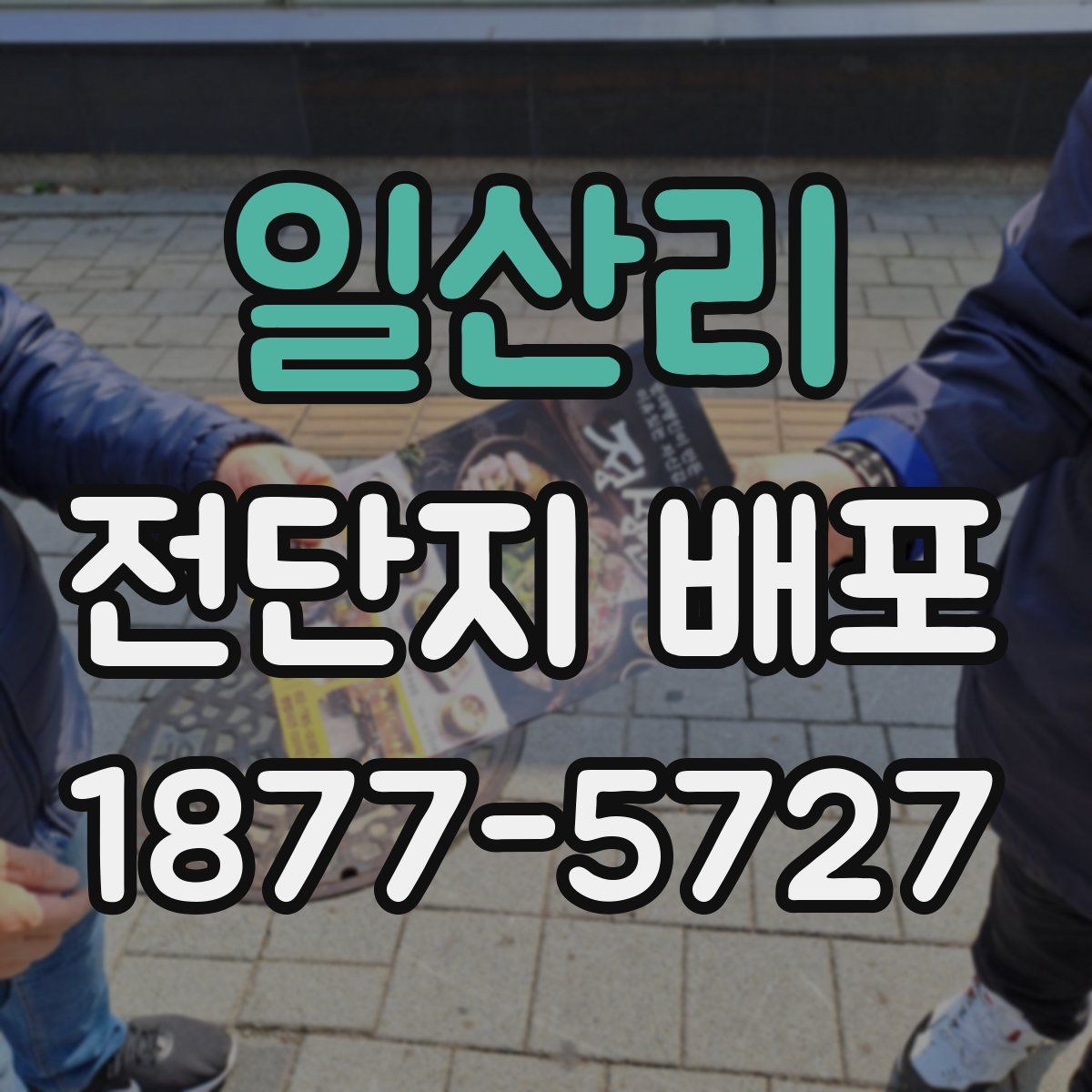 일산리 전단지 배포