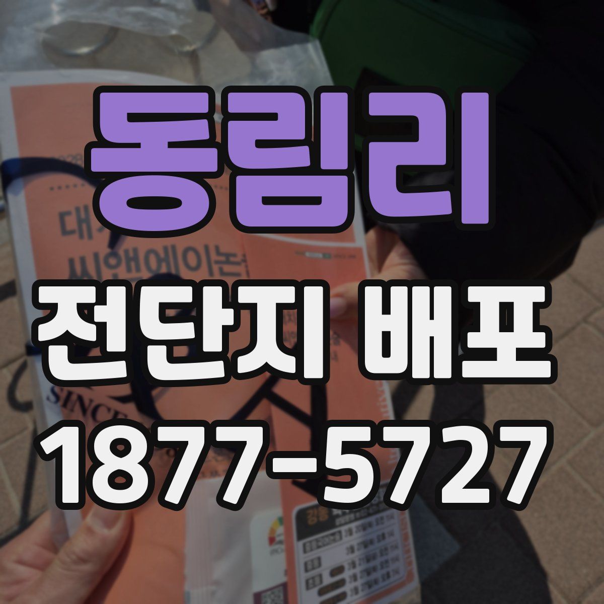 동림리 전단지 배포
