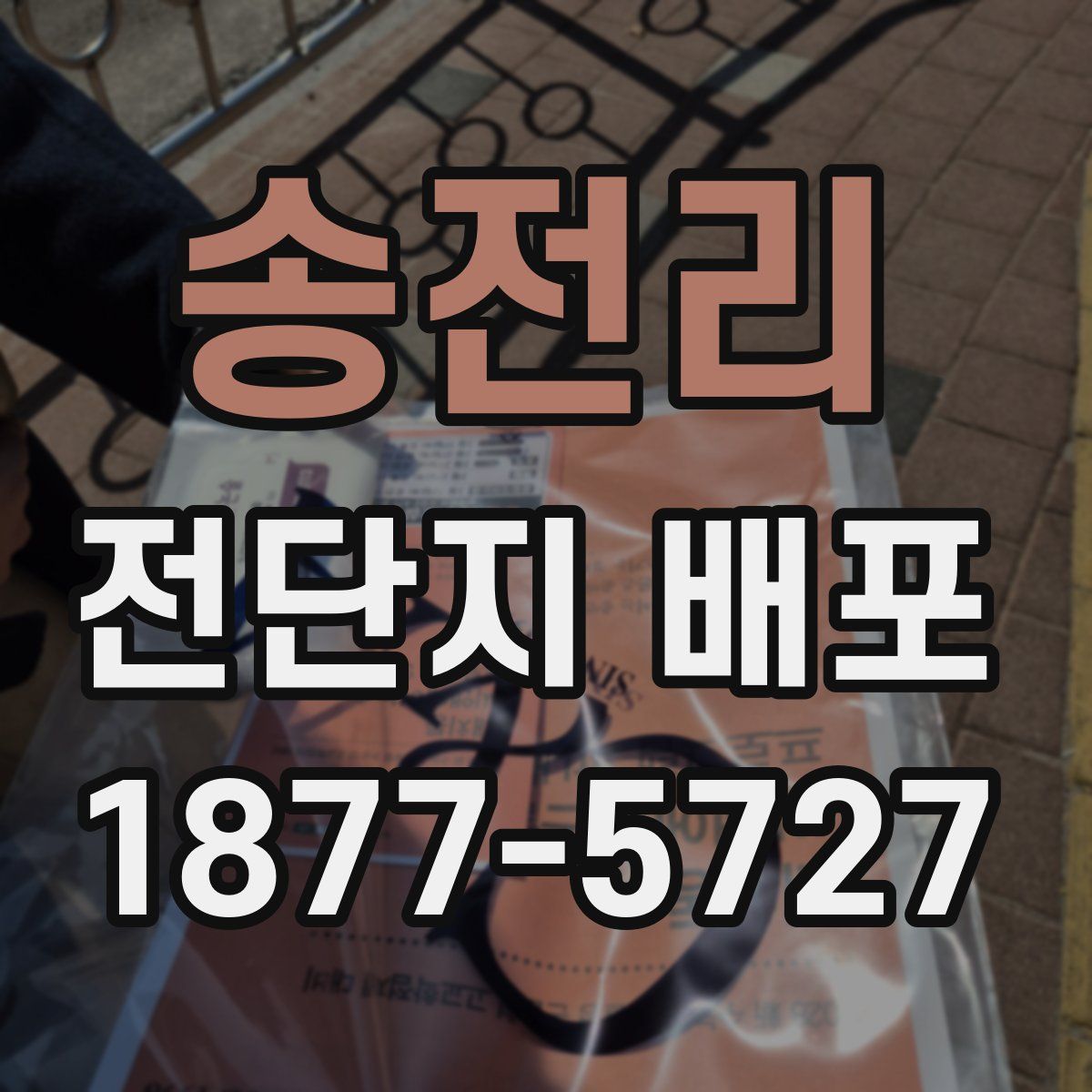 송전리 전단지 배포