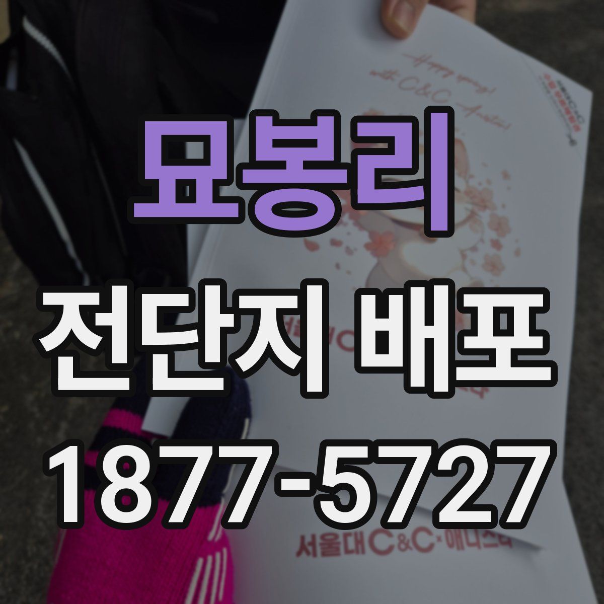 묘봉리 전단지 배포