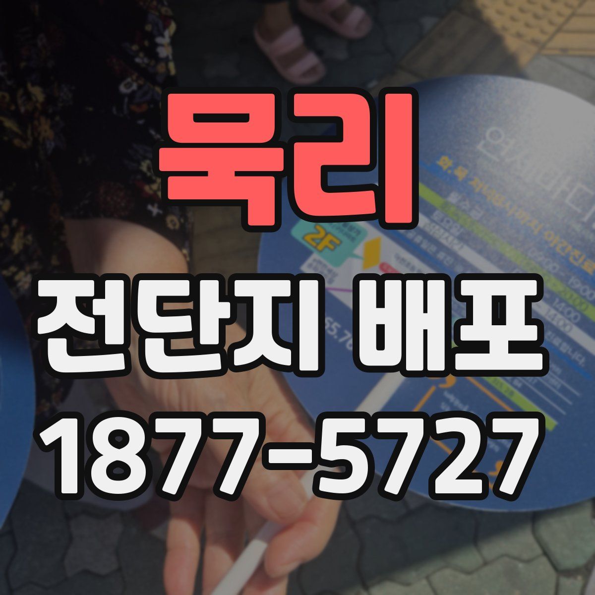 묵리 전단지 배포