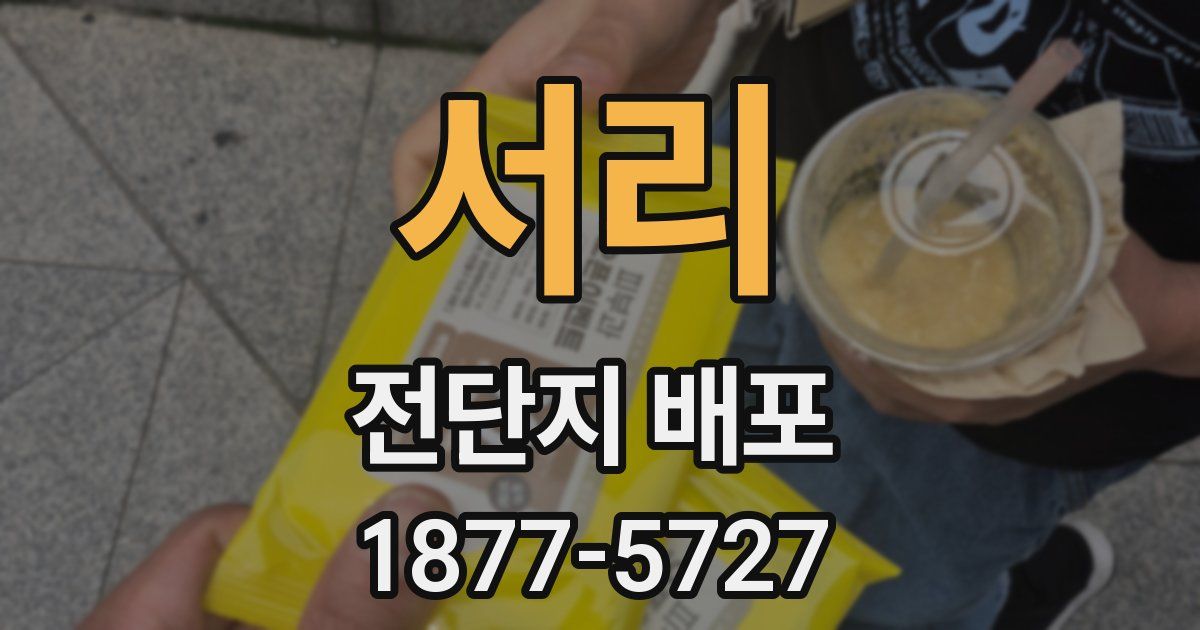 서리 전단지 배포