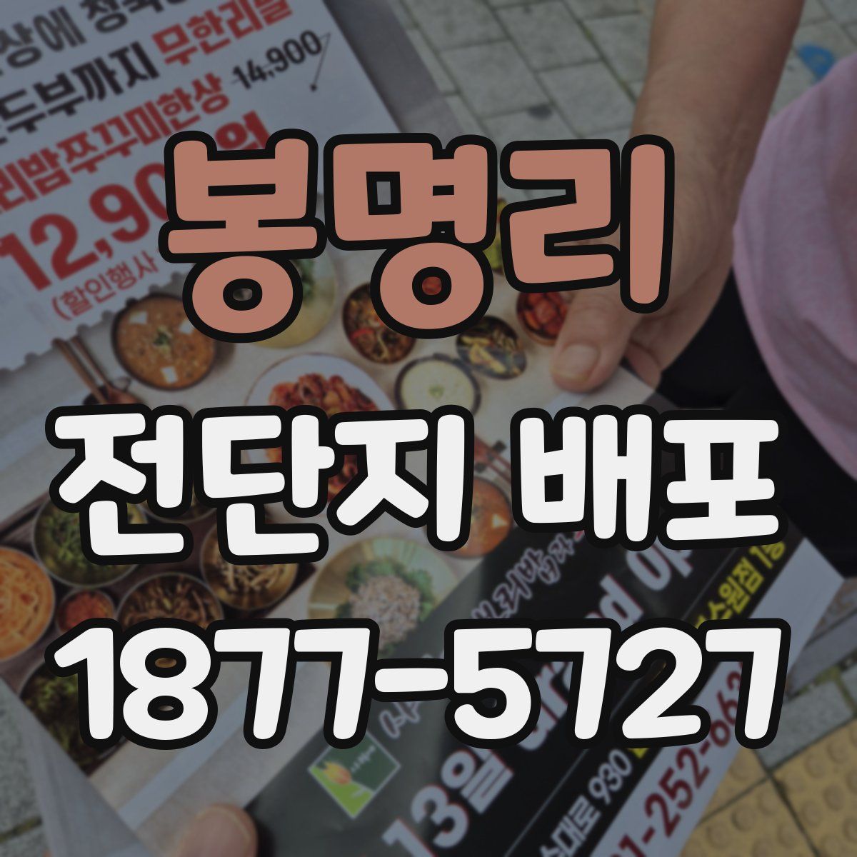 봉명리 전단지 배포